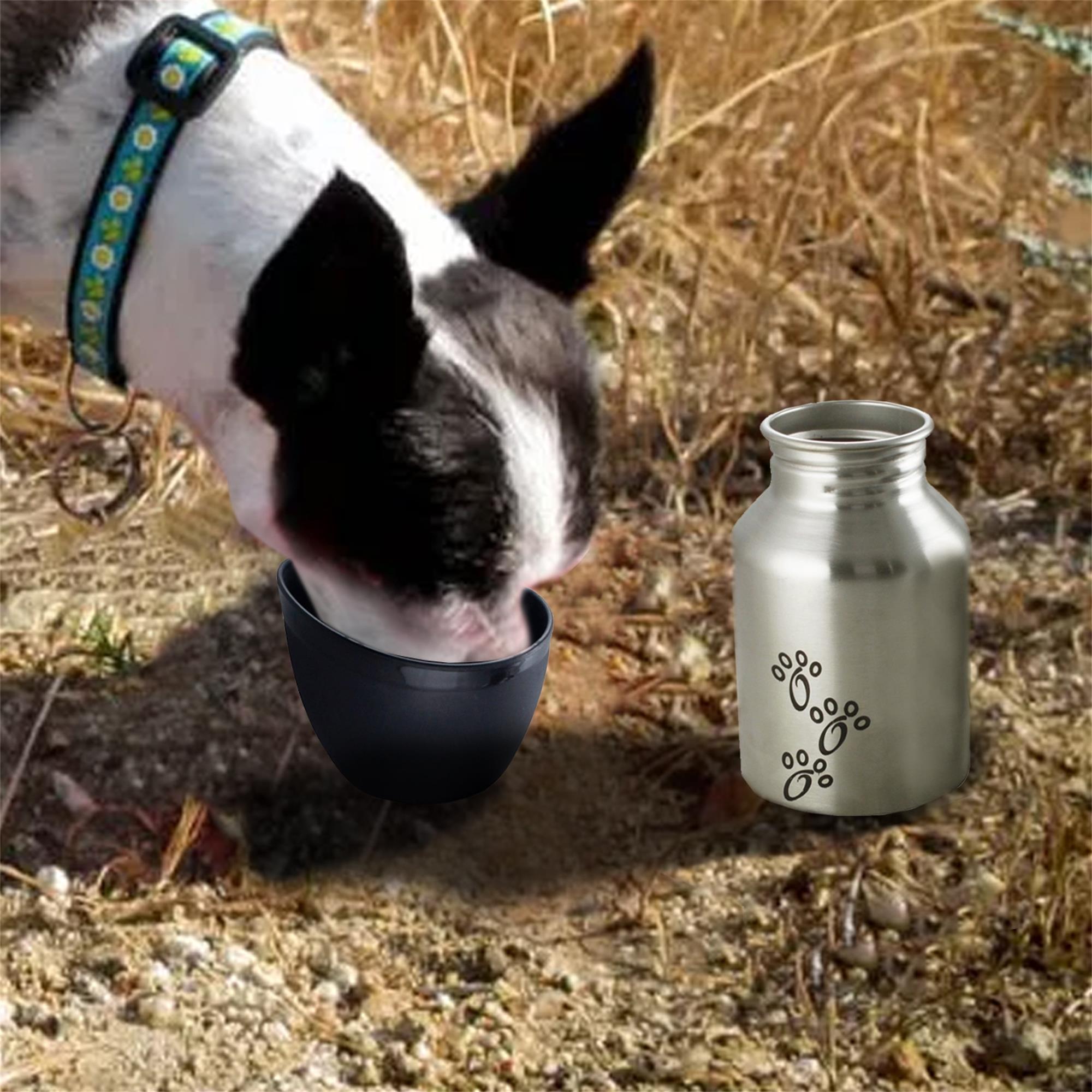 Pefilos 11.84 OZ Stainless Steel Dog Water Bottle, Portable Convenient Dog Water Dispenser, Puppy Trave Bowl Perfect Size for Small Dog Breeds, Silver and Black S