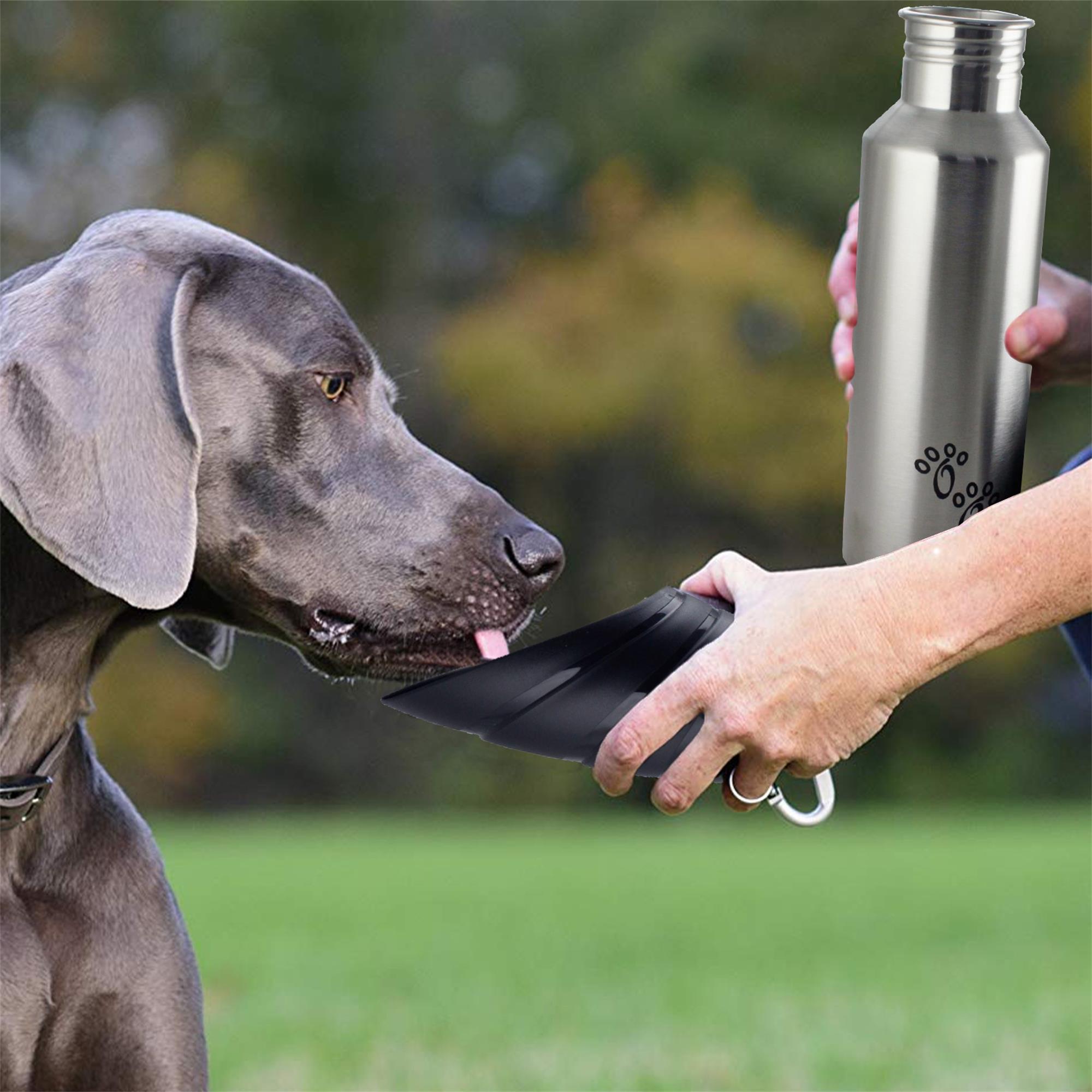 Pefilos 25.36 OZ Stainless Steel Dog Water Bottle, Portable Convenient Dog Water Dispenser, Puppy Trave Bowl Perfect Size for Small Dog Breeds, Silver and Black M