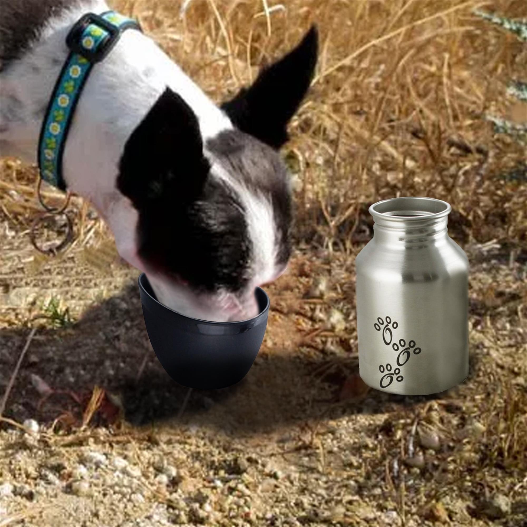 Pefilos 11.84 OZ Stainless Steel Dog Water Bottle, Portable Convenient Small Dog Water Dispenser, Puppy Trave Bowl Perfect Size for 2 Pcs, Silver and Black S