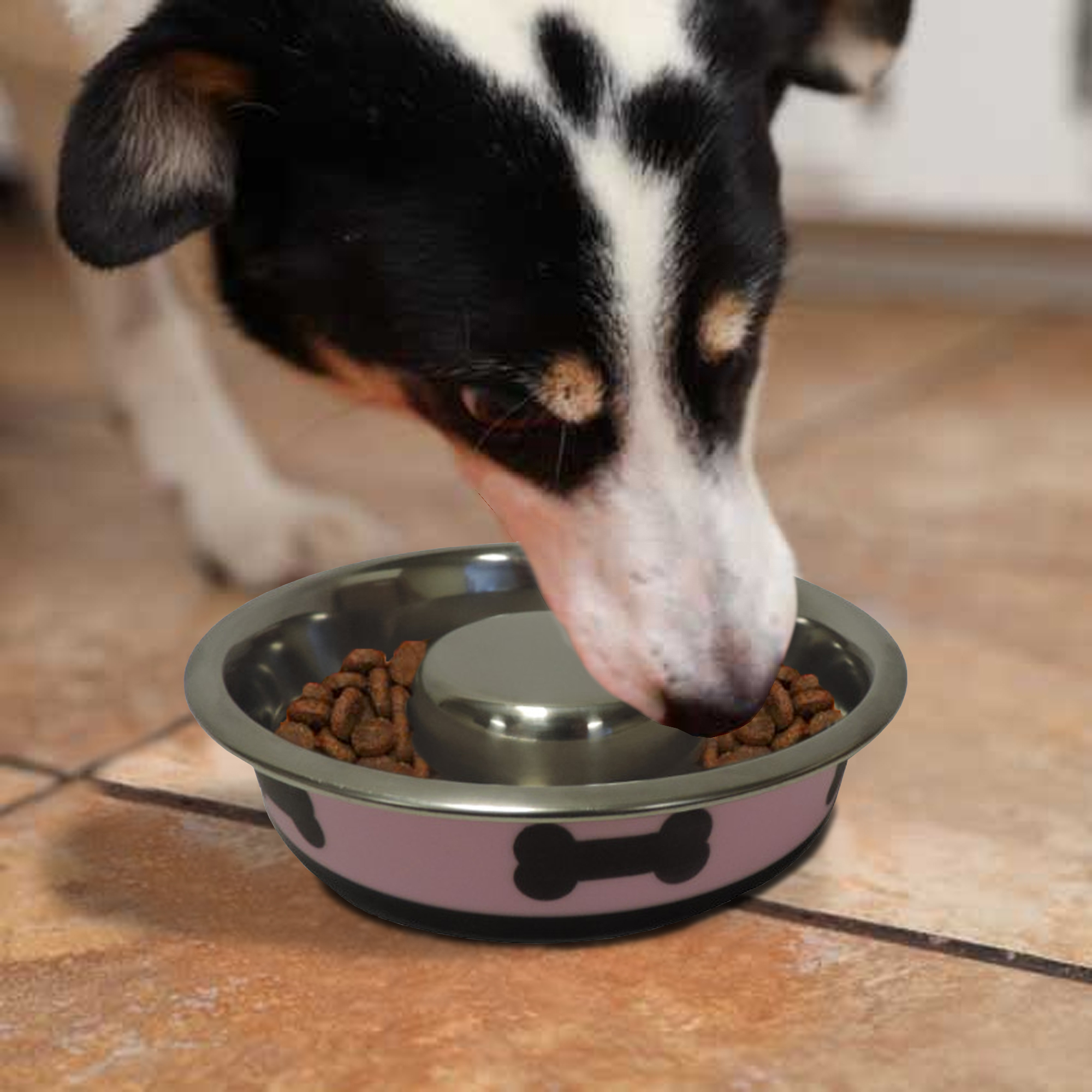 Pefilos 6.3"x1.65" Small Lightweight Stainless Steel Dog Bowl, 13.5 OZ Food And Water Dish Pet Food Bowls, Pink Pefilos 6.3"x1.65" Small Lightweight Stainless Steel Dog Bowl, 13.5 OZ Food And Water Dish Pet Food Bowls, Pink
