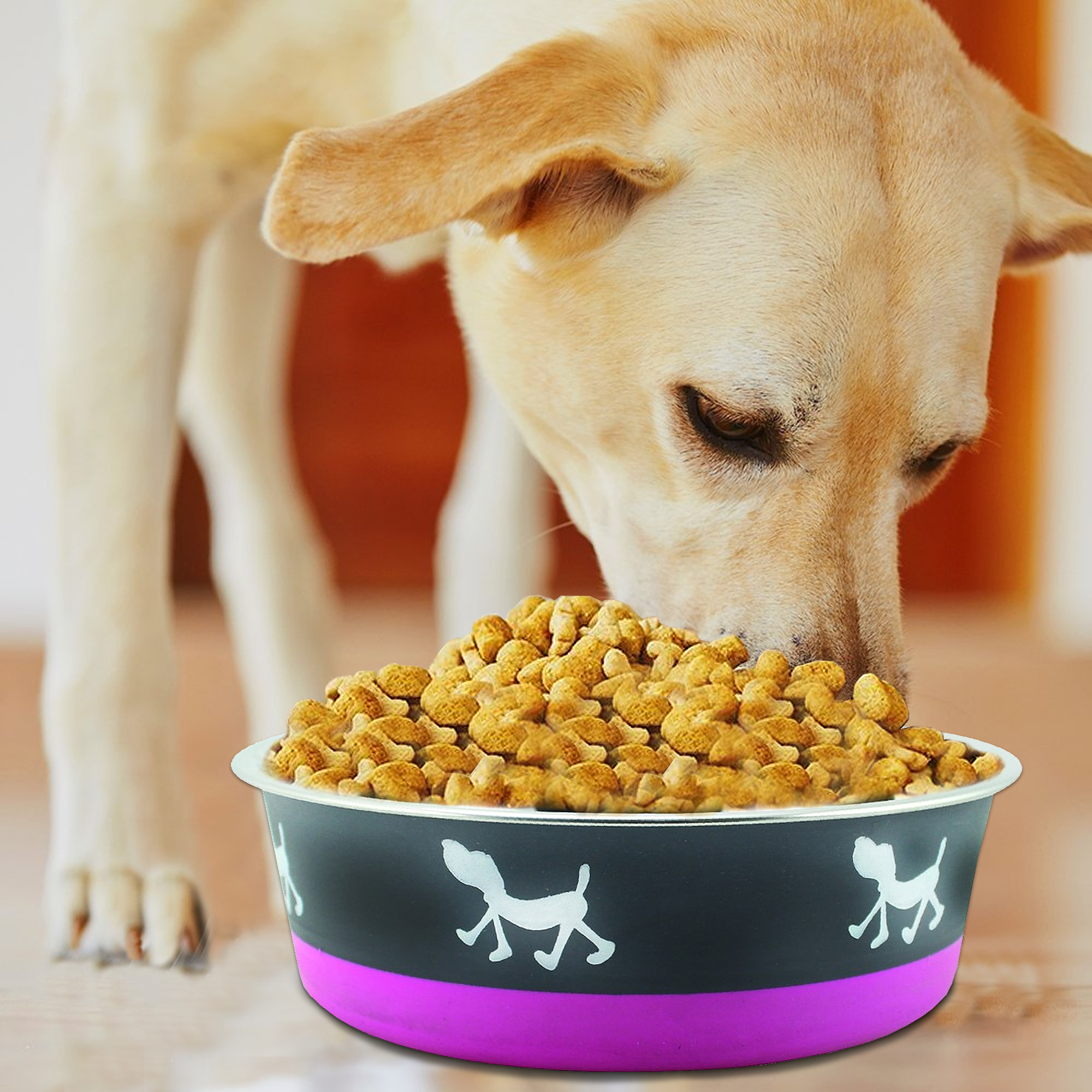 Pefilos 6.69"x2.56" Small Lightweight Stainless Steel Dog Bowl, 28.7 OZ Food And Water Dish Pet Food Bowls, Purple