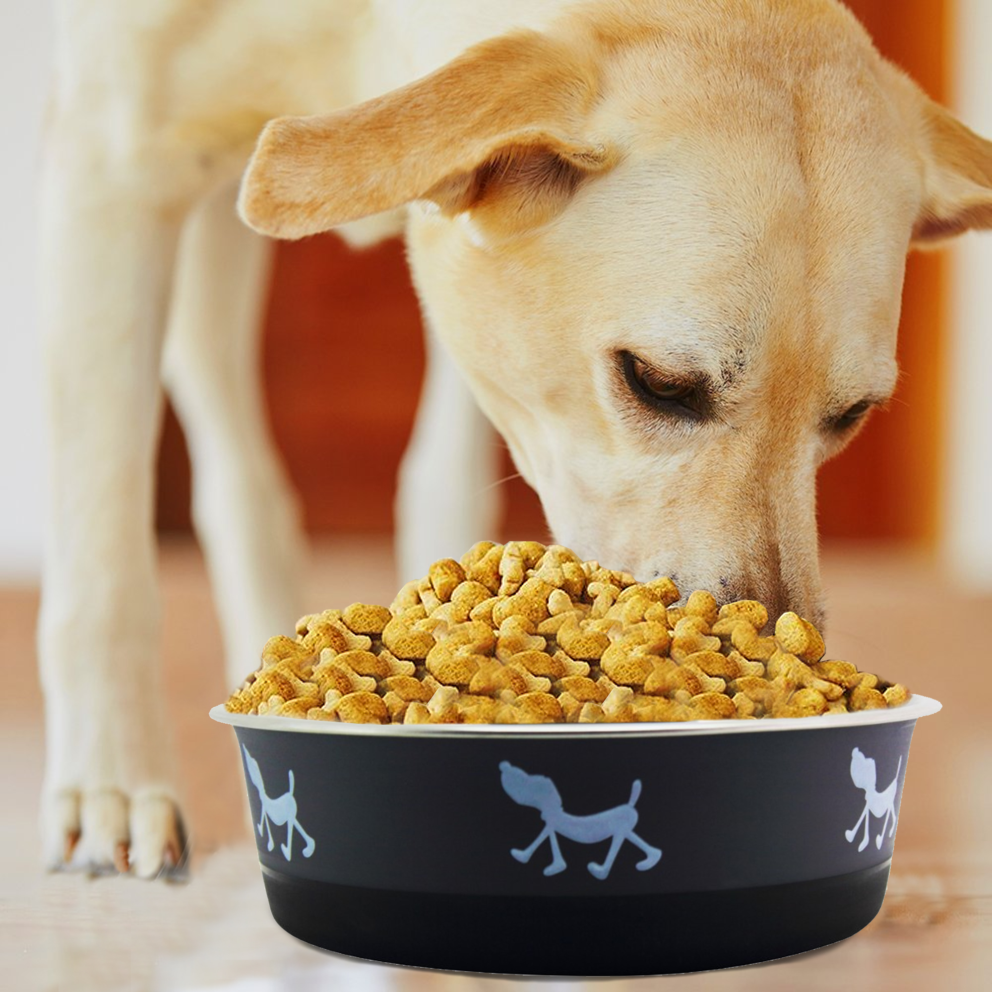 Pefilos 6.69"x3.54" Small Lightweight Stainless Steel Dog Bowl, 28.7 OZ Food And Water Dish Pet Food Bowls, Gray Pefilos 6.69"x3.54" Small Lightweight Stainless Steel Dog Bowl, 28.7 OZ Food And Water Dish Pet Food Bowls, Gray
