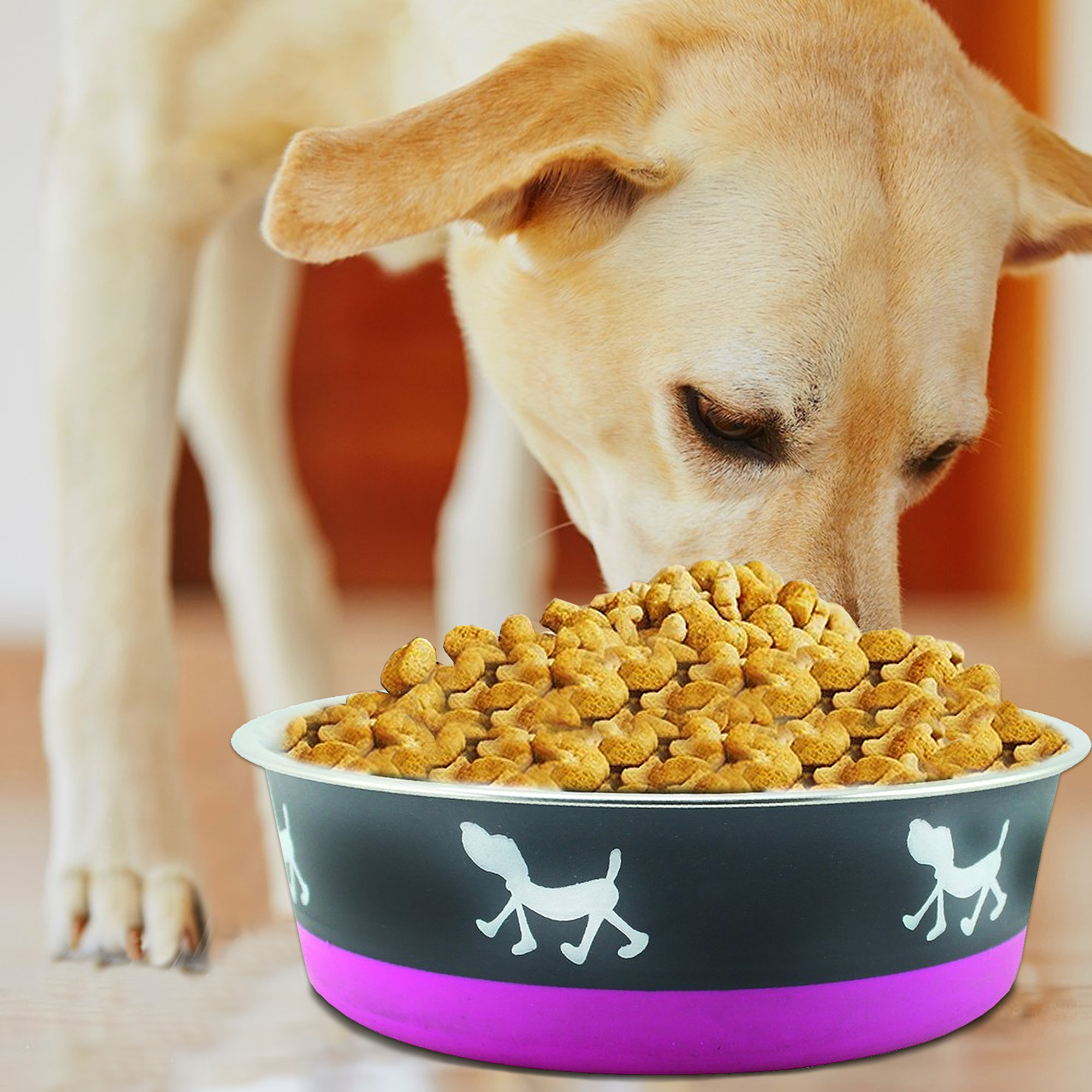 Pefilos 8.27"x4.72" Medium Lightweight Stainless Steel Dog Bowl, 54.1 OZ Food And Water Dish Pet Food Bowls, Purple