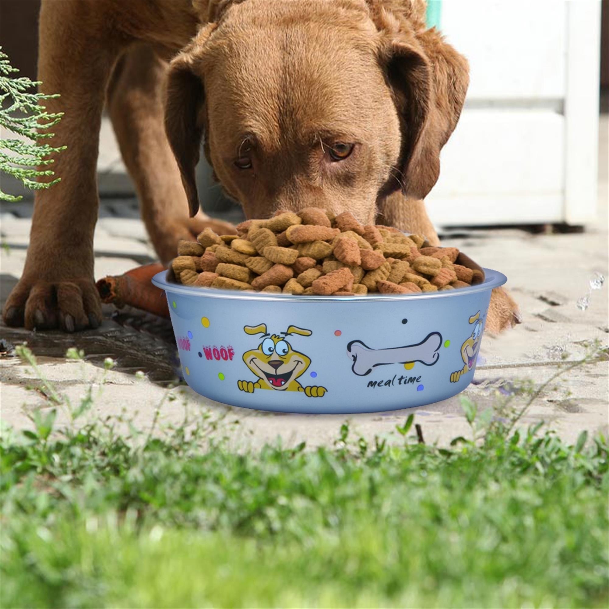 Pefilos 6.69"x2.56" Small Lightweight Stainless Steel Dog Bowl fo 2Pcs, 28.7 OZ Food And Water Dish Pet Food Bowls, Blue Pefilos 6.69"x2.56" Small Lightweight Stainless Steel Dog Bowl fo 2Pcs, 28.7 OZ Food And Water Dish Pet Food Bowls, Blue