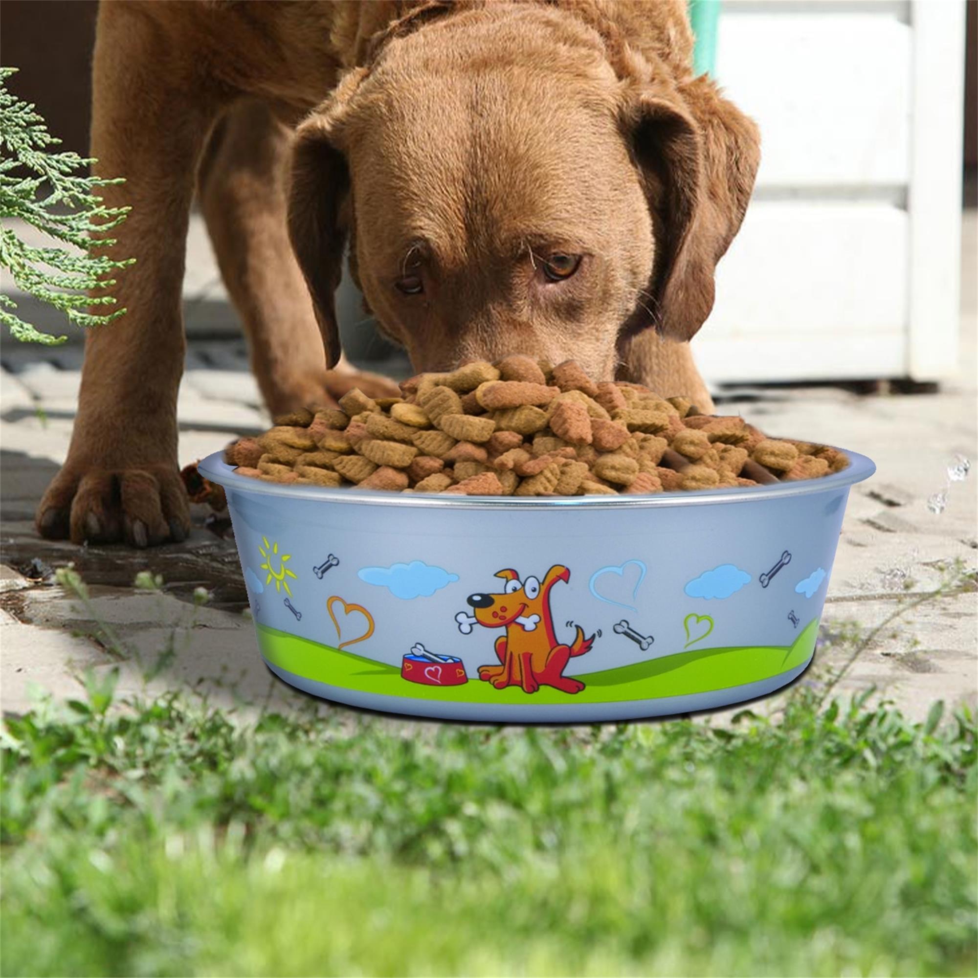Pefilos 8.46"x2.76" Medium Lightweight Stainless Steel Dog Bowl fo 2Pcs, 54.1 OZ Food And Water Dish Pet Food Bowls, Blue