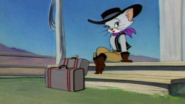 The Glamorous World of Feline Romance: Tom, Jerry, and Their Fabulous Feline Girlfriends-ACGArea